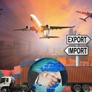 Untitled design (19)